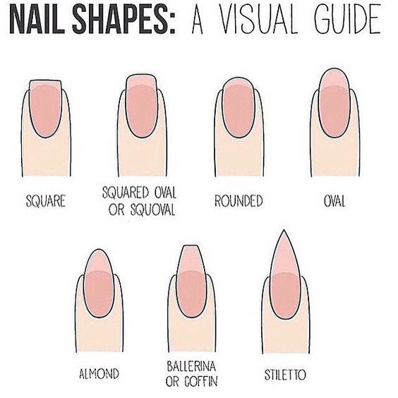 Nail shapes guide
