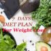 Diet Plan To Lose Weight Quickly