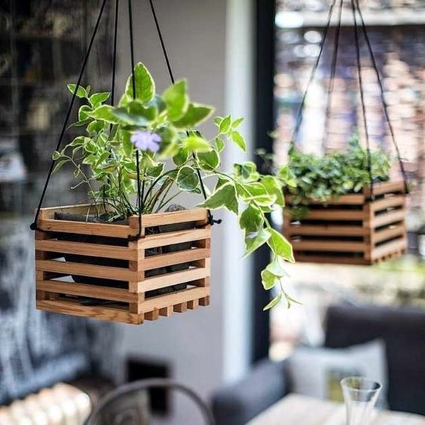 Planters Ideas for Indoor