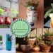 DIY Pots For Plants Best Ideas For Decorating Your Flower Pots At Home