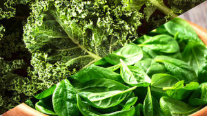 Green Leafy Vegetable