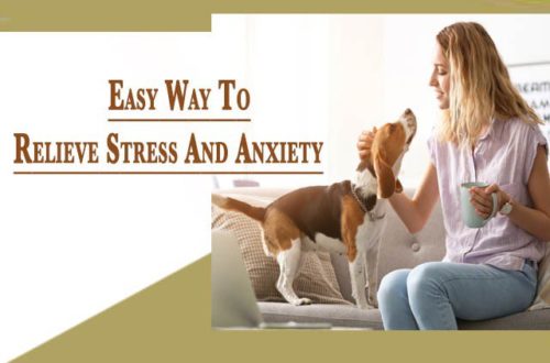 How to Reduce Stress and Tension Best Tips And Guide