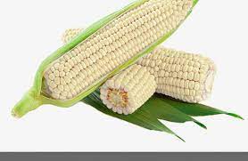 corn 2