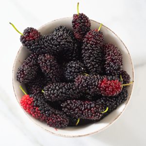 mulberry4
